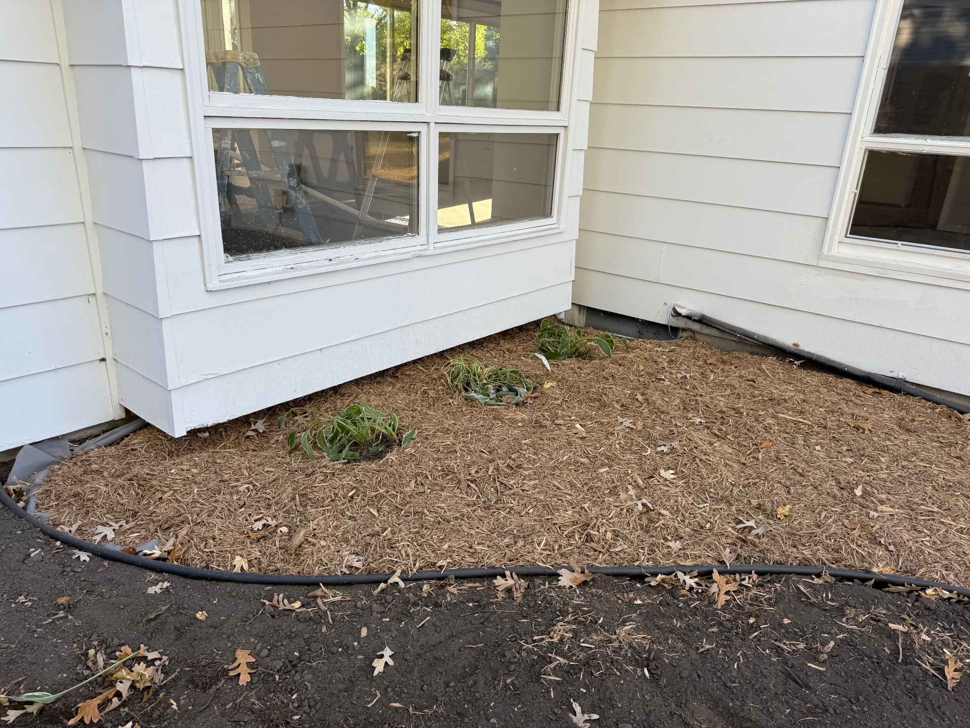 Newly mulched foundation planting bed with edging tucked tight to the siding at the Knob Hill home in Burnsville, MN