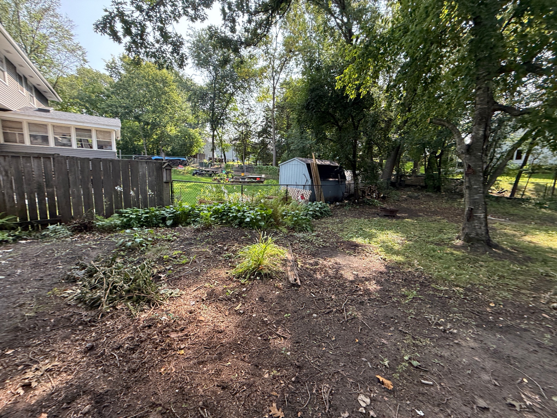 Overgrown backyard with brush, weeds, and debris before skid-loader cleanup in Burnsville, MN