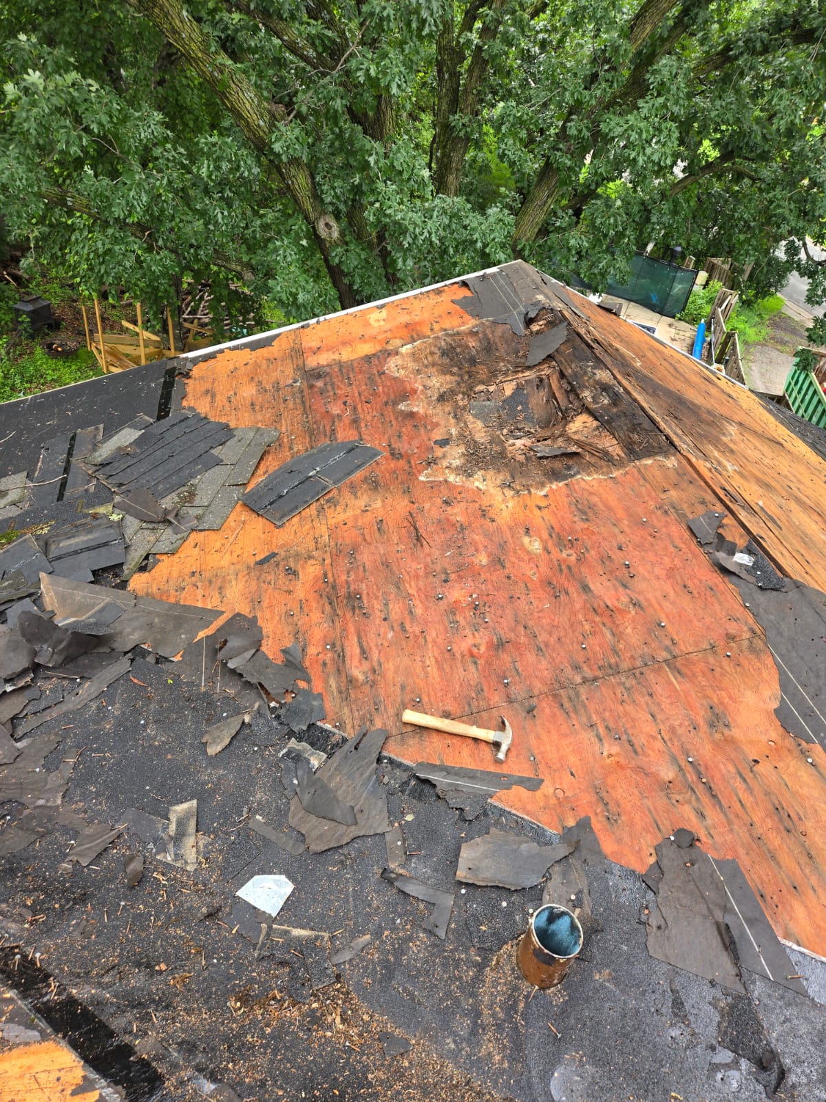 Tree-damaged roof decking exposed after tear-off in Burnsville, MN