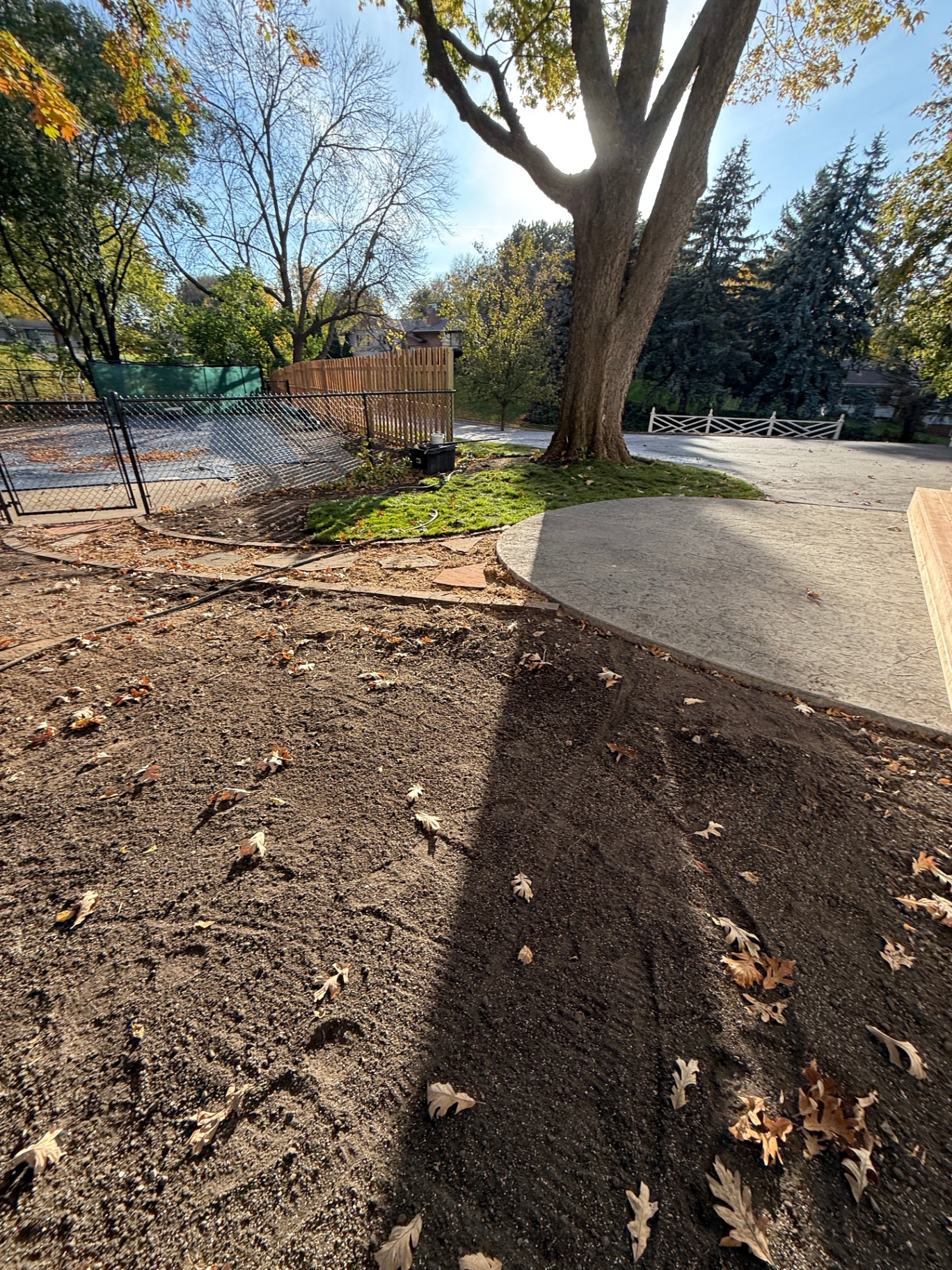 Textured concrete patio with broom-finish edge poured alongside the new asphalt driveway