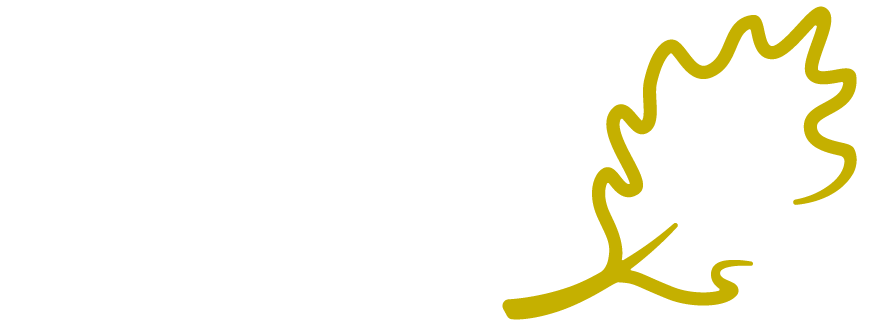 Gutter Rx logo — The Cure for Your Clogged Gutters
