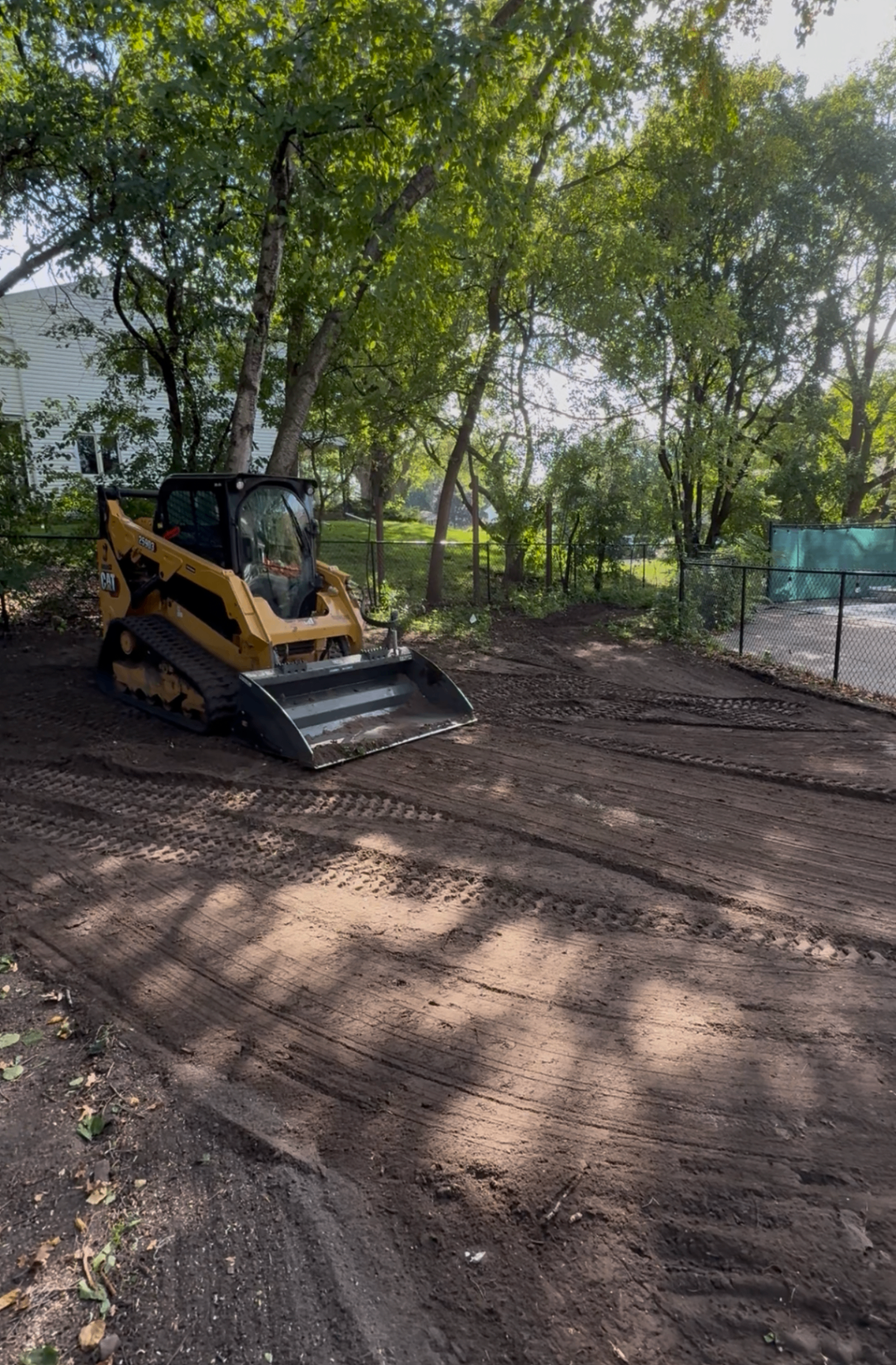 Yard Restoration after years of neglect